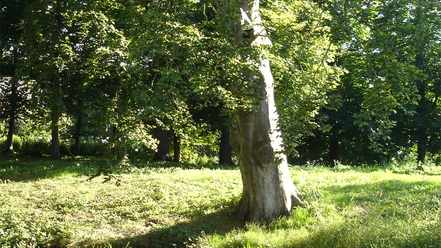 visby-park