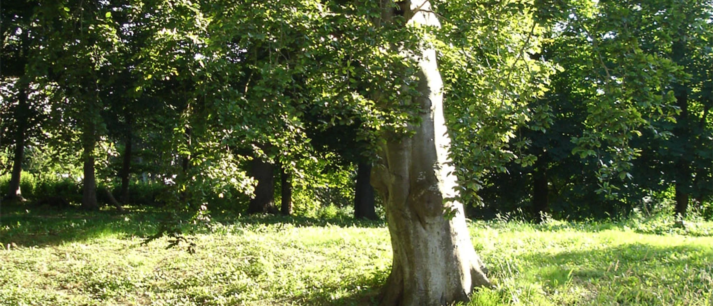 visby-park