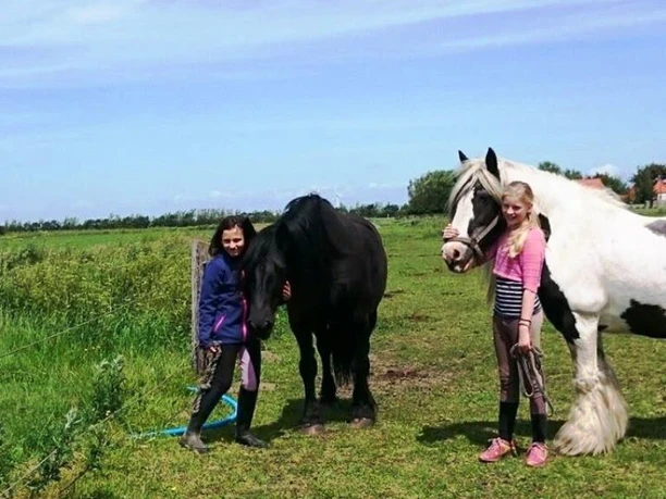 Bessies-Reitschule Bessies-Reitschule