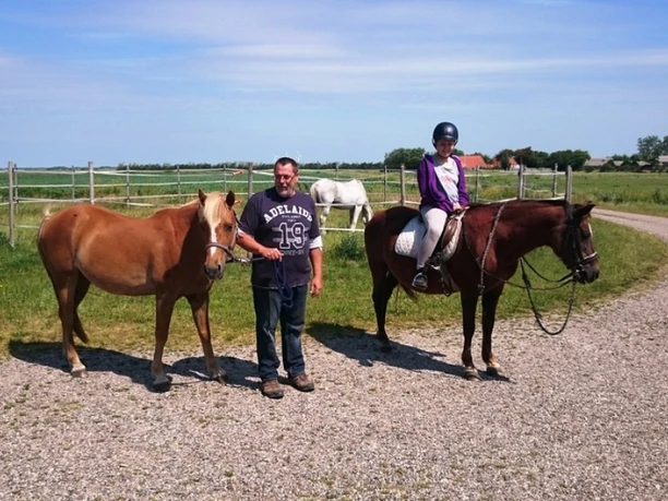Bessies-Reitschule Bessies-Reitschule