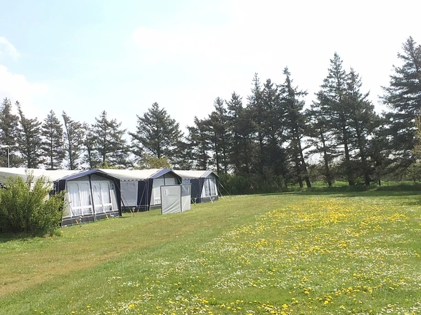ballum-camping-campingpladser ballum-camping-campingpladser