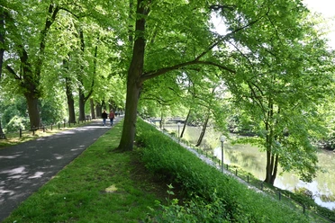 Herrenteichswall met rivier de Hase Herrenteichswall in het voorjaar met de rivier de Hase