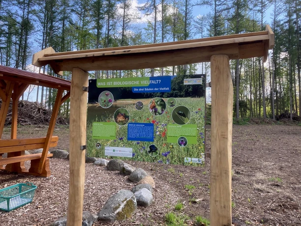 Infotafel Biologische Vielfalt ©Naturschutzstiftung Emsland.jpg Infotafel zur biologischen Vielfalt unter Holzrahmen auf einer naturbelassenen Waldlichtung
