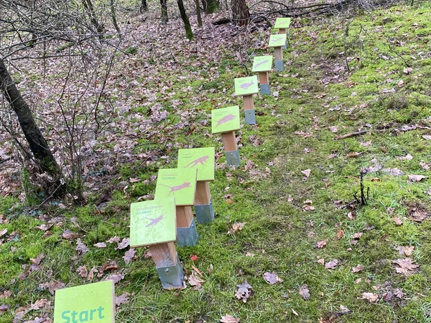Frerener Holtpättken ©Emsland Tourismus GmbH Grüner Startpunkt eines Walderlebnispfads mit kleinen Infotafeln entlang eines naturbelassenen Weges.