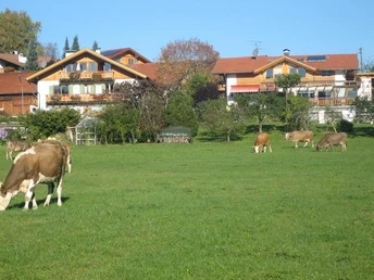 07.10.15. Soier See 020