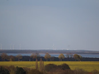 Blick über grüne Felder und Bäume zum Steinhuder Meer mit Windrädern am Horizont unter blauem Himmel.