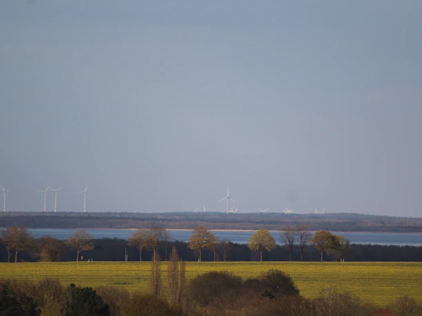 A view across green fields and trees toward Lake Steinhude, with wind turbines on the horizon under a blue sky.
