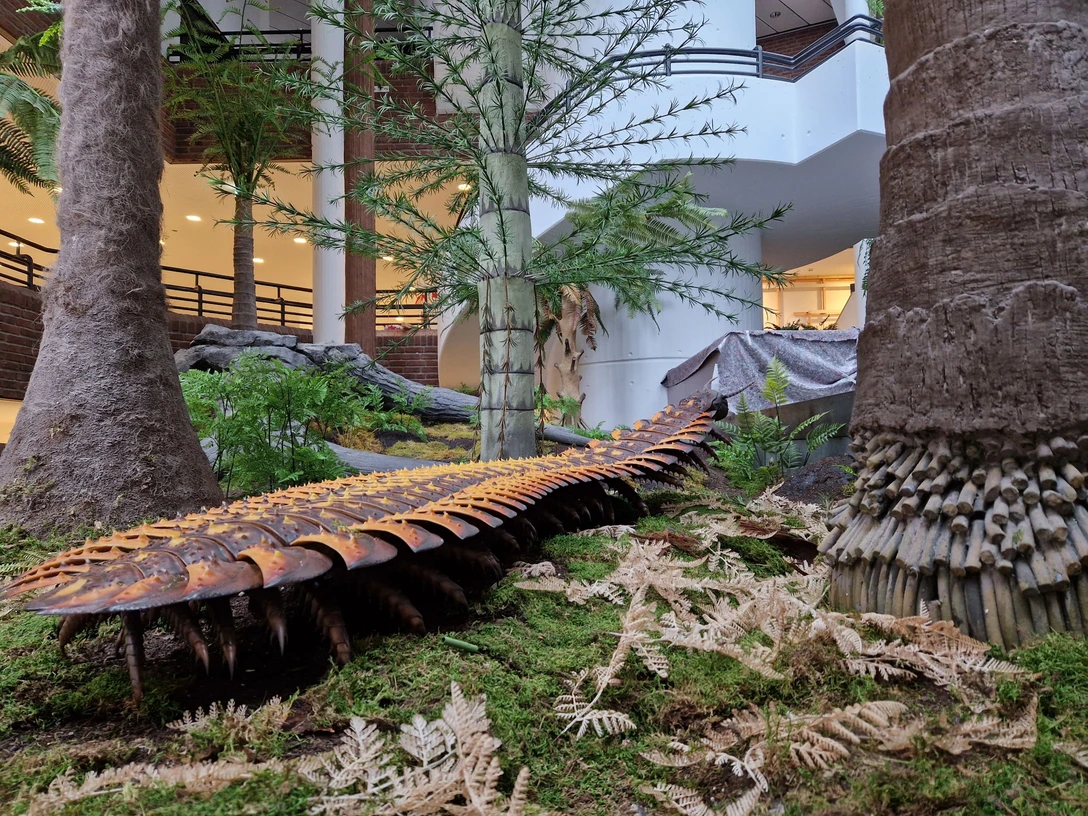 Tausendfüßer(c)ImkePieper.jpg Ein naturgetreues Modell eines prähistorischen Tausendfüßers, umgeben von künstlicher Vegetation.A lifelike model of a prehistoric millipede, surrounded by artificial vegetation.En naturtro model af et forhistorisk tusindben omgivet af kunstig vegetation.Een levensecht model van een prehistorische miljoenpoot, omgeven door kunstmatige vegetatie.