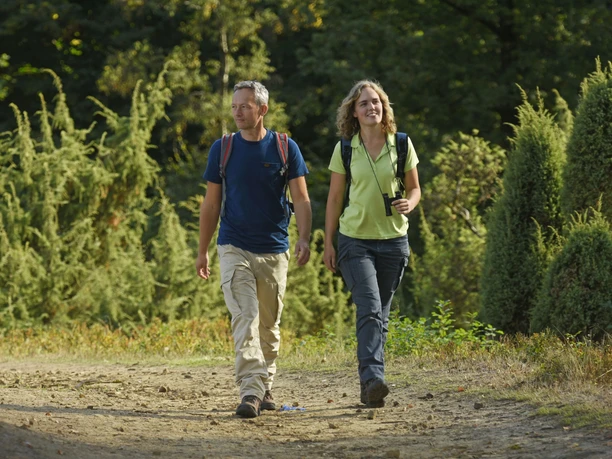 Zwei Wanderer schlendern entlang eines Waldweges, umgeben von Wacholderheiden im Teutoburger Wald.