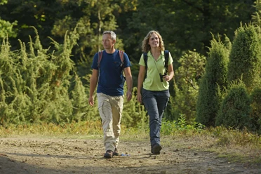 Steinhagen-Wacholderheiden-Teutoburger-Wald-Tourismus-F-Grawe (105)Klein.jpg Zwei Wanderer schlendern entlang eines Waldweges, umgeben von Wacholderheiden im Teutoburger Wald.