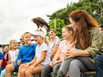 Detmold-Adlerwarte Berlebeck-Teutoburger-Wald-Tourismus-D-Ketz-049.jpg Eine Gruppe von Kindern und Erwachsenen beobachtet fasziniert einen Greifvogel, der auf dem Kopf eines Mädchens sitzt.