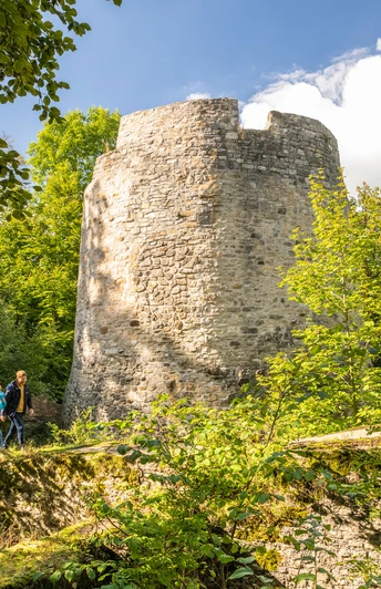 Kreis Hoexter-Iburg Bad Driburg-Teutoburger-Wald-Tourismus-D-Ketz-061.jpg Ein Wanderpark vor der Iburg im Kreis Höxter