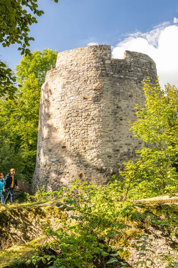 Kreis Hoexter-Iburg Bad Driburg-Teutoburger-Wald-Tourismus-D-Ketz-061.jpg Ein Wanderpark vor der Iburg im Kreis Höxter
