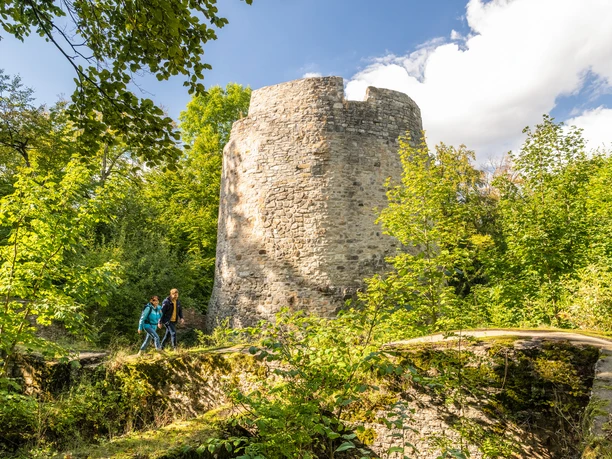 Kreis Hoexter-Iburg Bad Driburg-Teutoburger-Wald-Tourismus-D-Ketz-061.jpg Ein Wanderpark vor der Iburg im Kreis Höxter