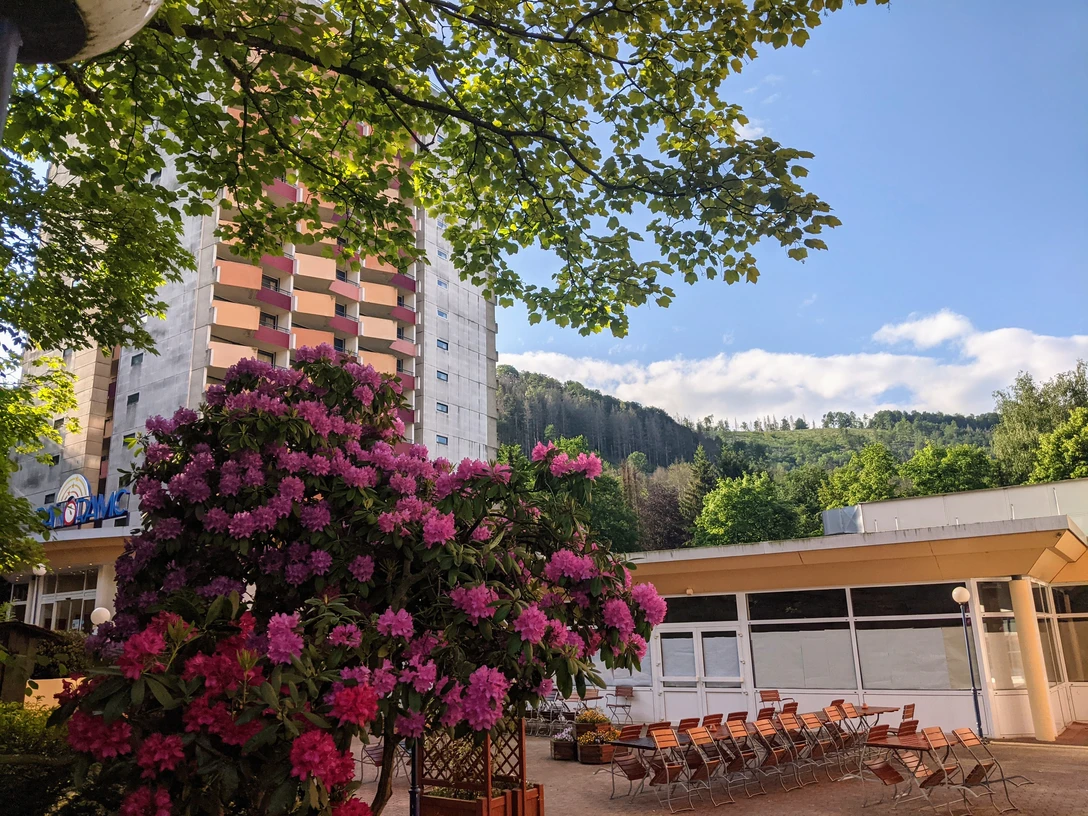 Apart- & Familienhotel Panoramic in Bad Lauterberg