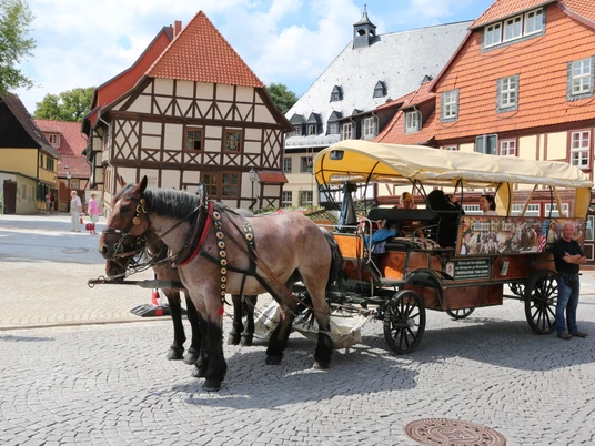 Pferdefuhrwerk Pferdefuhrwerk