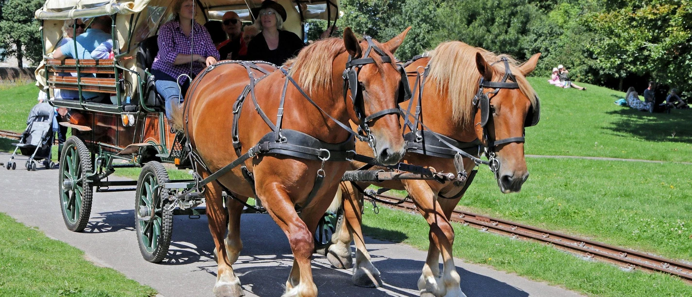 Pferdekutsche Pferdekutsche