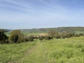Ausblick auf die Ostheimer Hute