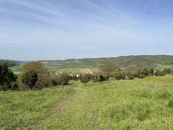 Ausblick auf die Ostheimer Hute