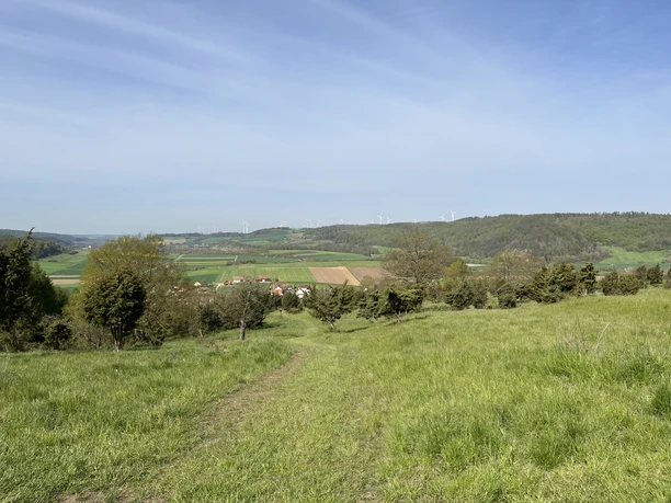 Ausblick auf die Ostheimer Hute