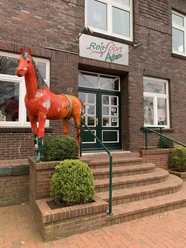 Reitsport.jpeg