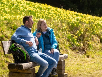 Rast inmitten blühender Narzissen