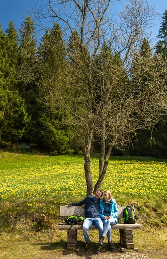 Narzissenroute mit blühenden Wiesen