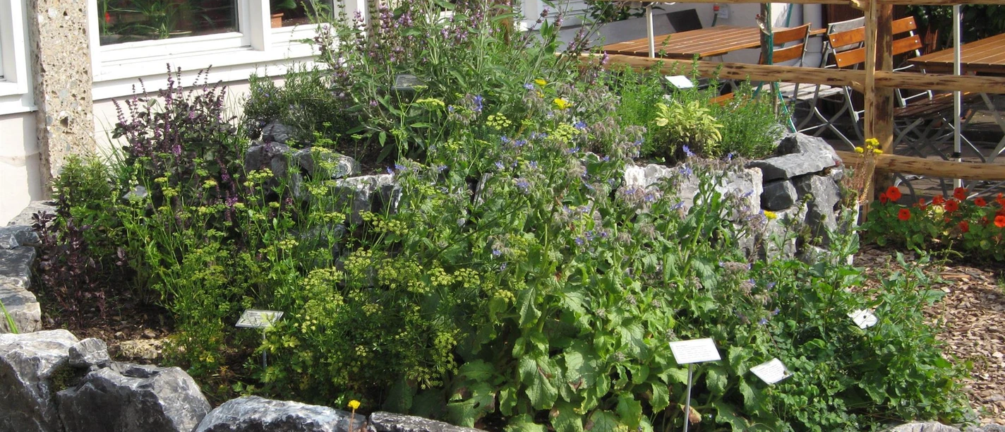 Kräutergarten Kurpark
