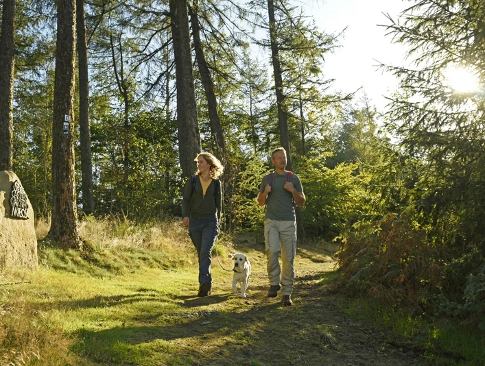 Zwei Personen mit Hund spazieren auf einem Waldweg in der Sonne, umgeben von hohen Bäumen.