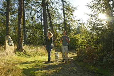 Oerlinghausen-Teutoburger-Wald-Tourismus-F-Grawe (78)_klein.jpg Zwei Personen mit Hund spazieren auf einem Waldweg in der Sonne, umgeben von hohen Bäumen.