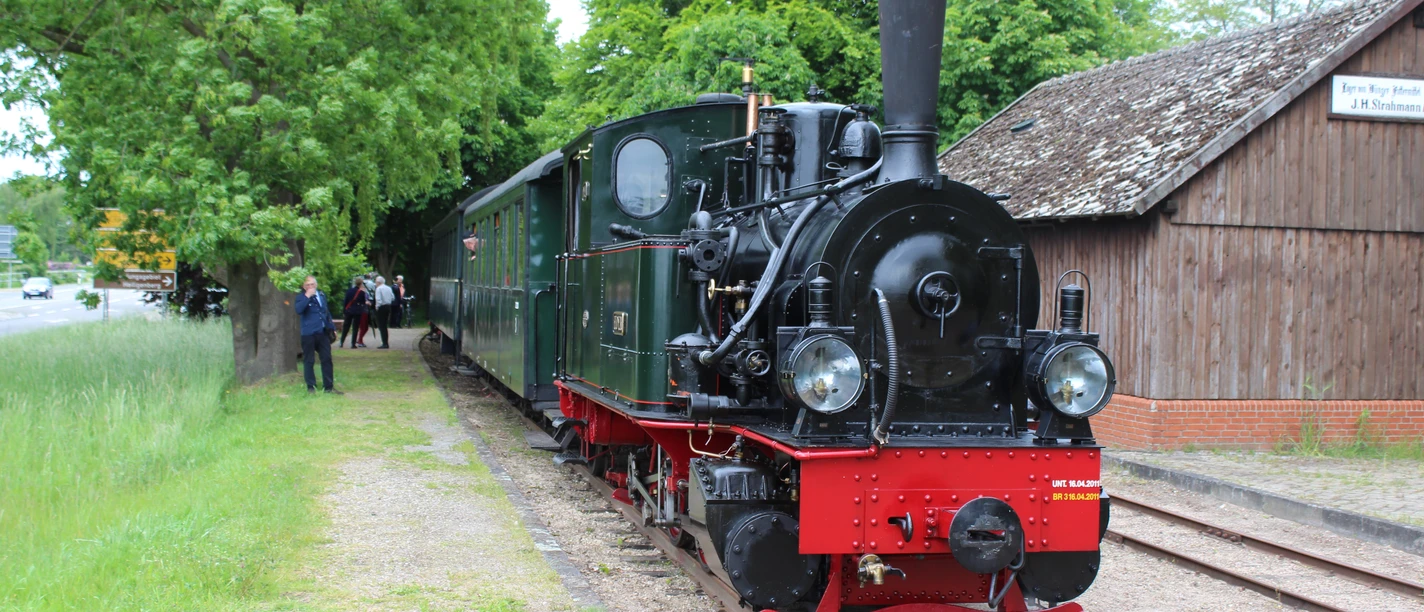 Museumseisenbahn Bruchhausen-Vilsen Schwarz-rote Dampflokomotive fährt auf Gleisen durch eine grüne Landschaft. Holzschuppen im Hintergrund.