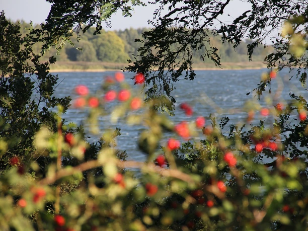 MechowerSee_Herbst_CarinaJahnke (2).JPG