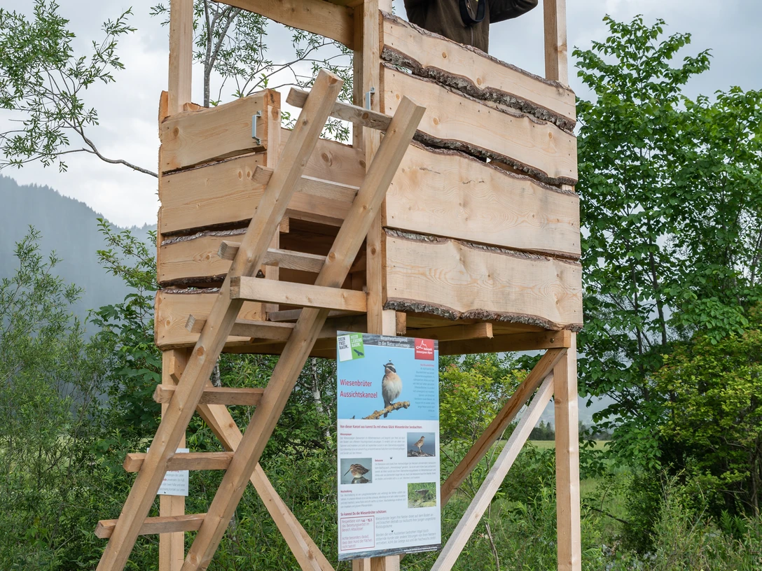 Rangerarbeit (10).jpg