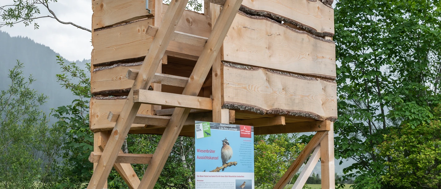 Rangerarbeit (10).jpg