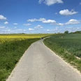 51CBF10E-3810-4C0E-9449-3B9B24653F7E.JPEG Ein asphaltierter Weg schlängelt sich durch gelbe Rapsfelder unter einem blauen Himmel mit Wolken.