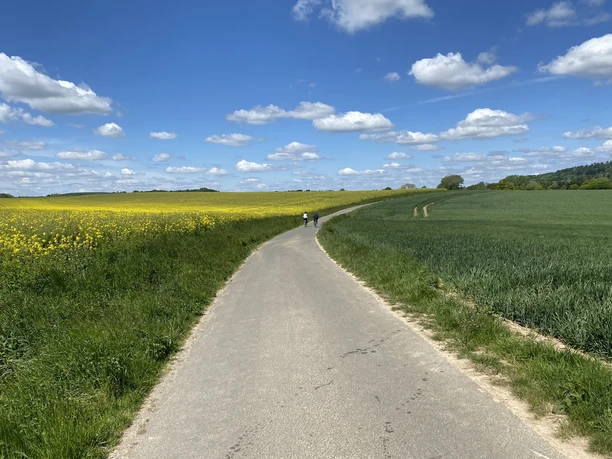 51CBF10E-3810-4C0E-9449-3B9B24653F7E.JPEG Ein asphaltierter Weg schlängelt sich durch gelbe Rapsfelder unter einem blauen Himmel mit Wolken.