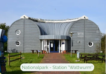 Wattwurm_Naturlehrpfad.jpg