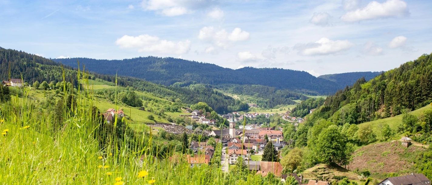 Ortsansicht Bad Peterstal-Griesbach