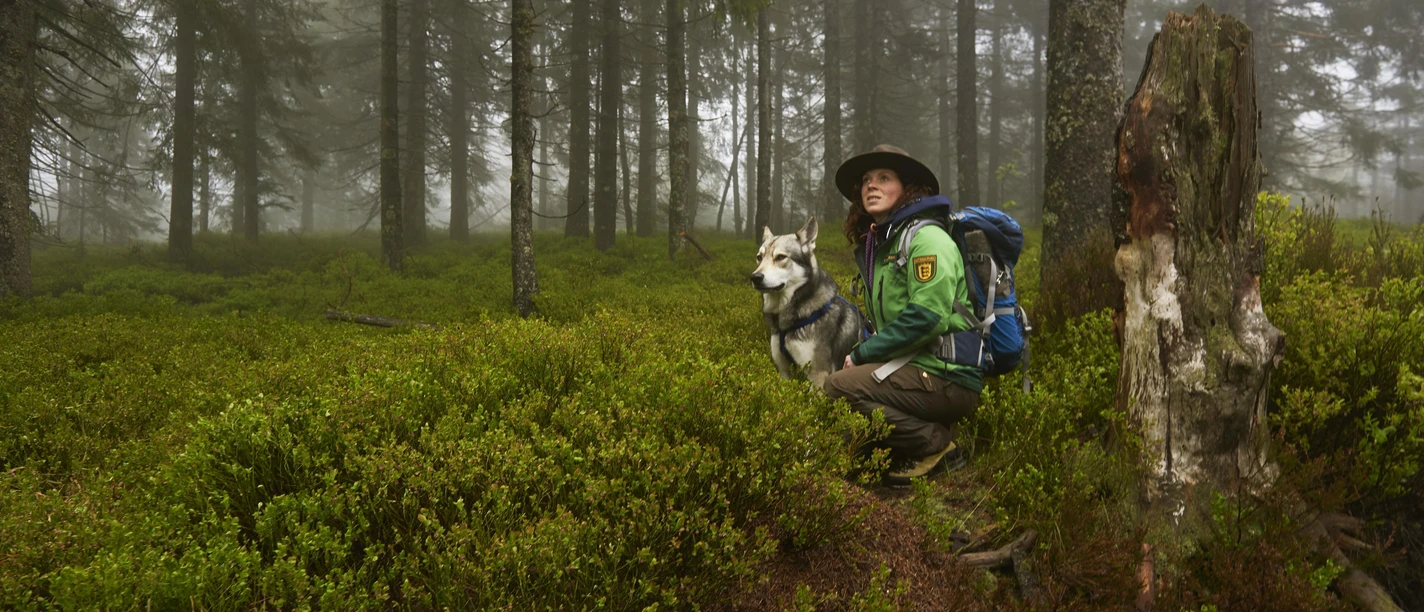 Rangerin im Nationalpark Schwarzwald