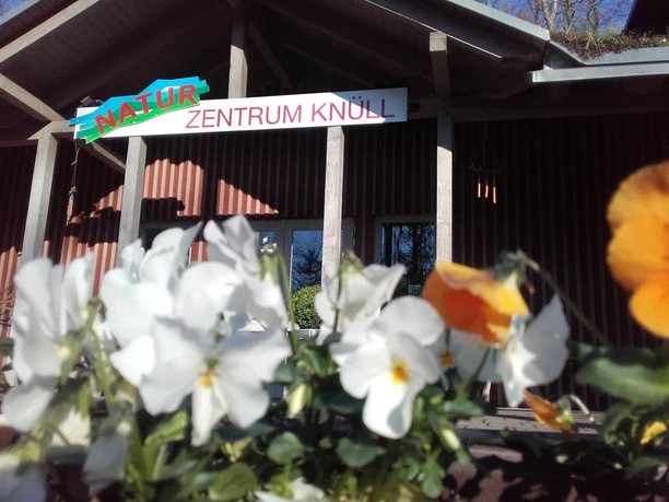 Naturzentrum Wildpark Knüll
