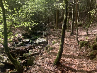 Hemelbach