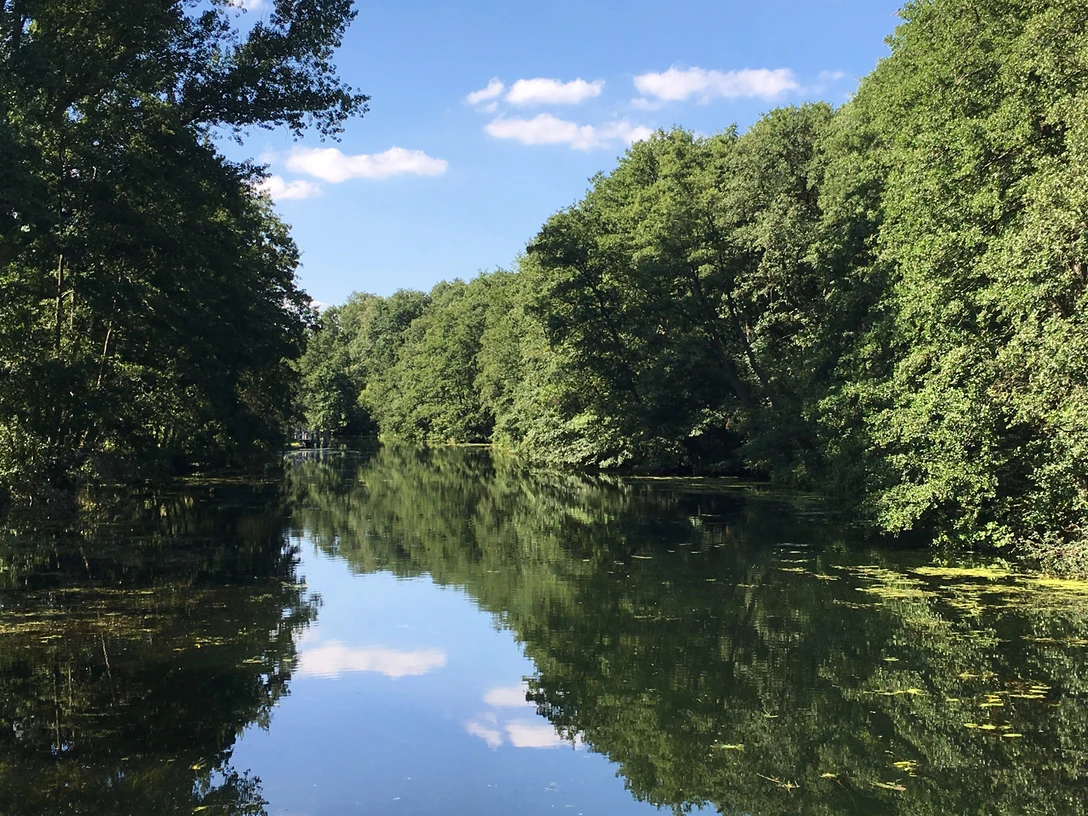 Wakenitz (2).JPG Blick vom Fluss auf das Wasser, in dem sich die Umgebung spiegelt