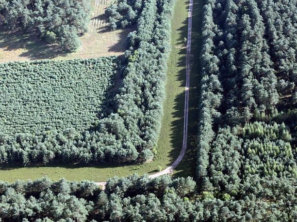 GruenesBand_WolfgangBuchhorn (1).jpg