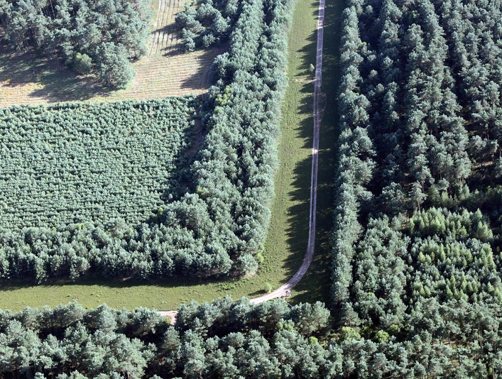 GruenesBand_WolfgangBuchhorn (1).jpg