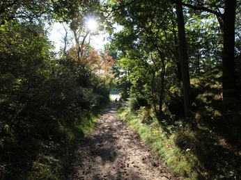 BesenhorsterSandberge_TIGeesthacht (1).jpg