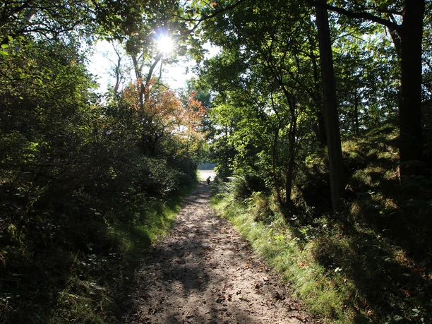 BesenhorsterSandberge_TIGeesthacht (1).jpg