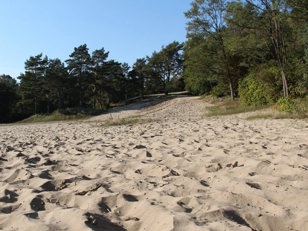 BesenhorsterSandberge_TIGeesthacht (2).jpg