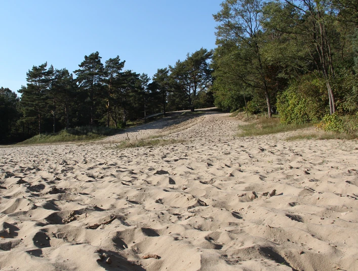 BesenhorsterSandberge_TIGeesthacht (2).jpg