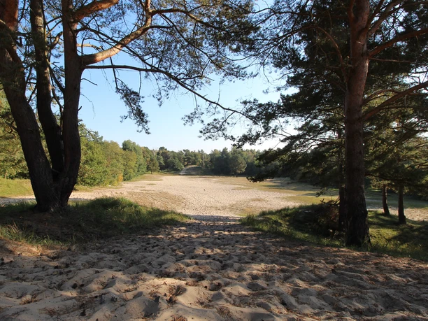 BesenhorsterSandberge_TIGeesthacht (3).jpg