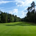 Golfen in weitläufiger Natur